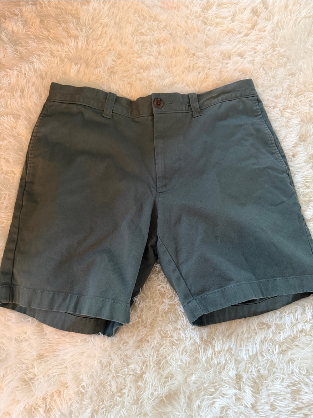 J. Crew Classic Men's Dark Green Cotton Shorts